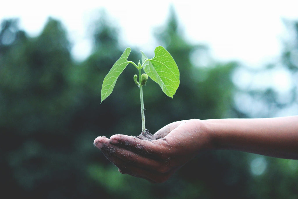 Día Mundial del Medio Ambiente